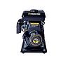 Motobomba 1″ a Gasolina GWP10 – GWP10 Power Pro